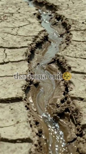 பயனற்ற நிலத்தை போல மறக்கப்பட்டவன் நான்...💥⛪✝️🤗✨#jesus #youtubeshorts #youtube #shorts #reels #song