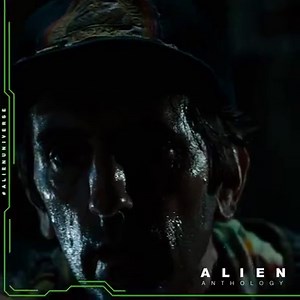 203K views · 4.6K reactions | #JonesyFact: On the set of Alien, a German Shepherd was hidden behind a screen. The screen was removed during Jonesy's scene with Brett and the Xenomorph, causing Jonesy to hiss the way he did. #InternationalCatDay | Alien: Romulus | Facebook