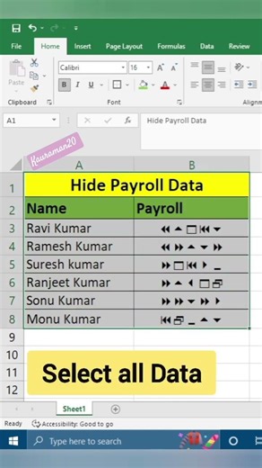 Hiding Data || Hide Salary Data || payroll Data in Excel