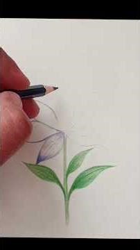 How to Draw a Flower