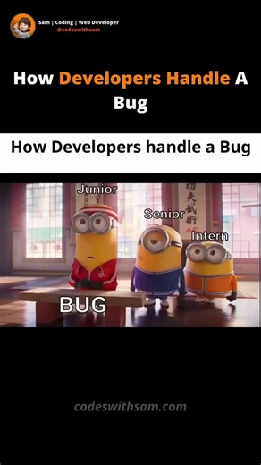 How Junior Developer Handle A Bug