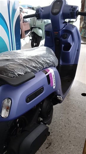 Fazzio purple 2026 is the best seller at the moment