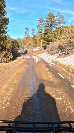 1994 Yamaha Timberwolf Loves the Snow! #atv #quads #yamaha #fyp #riding #shorts #trailriding #sunday