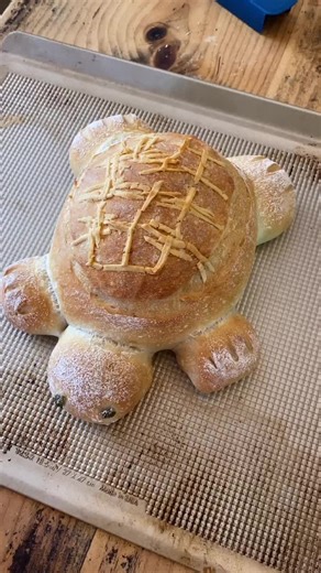 Turtle Bread Baking Tutorial