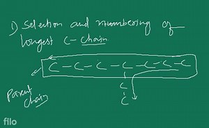 Nomenclature of Compounds Containing a Functional Group In case... | Filo