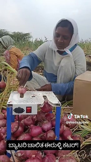 Discover the Amazing Balli Bot Mogis: Innovation in Tech