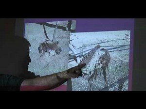 Soil Secrets 2: Understanding Humus