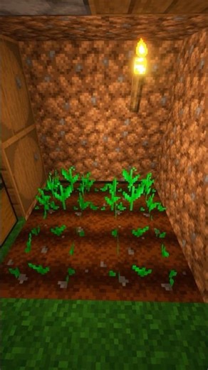 Underground food farm #minecraft