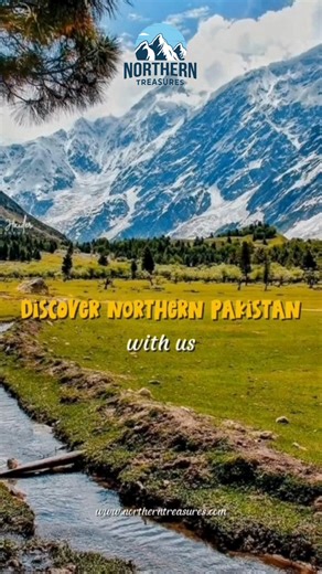 Fairy Meadows or Khunjerab Pass, If you could go to just one this year, which would it be? Follow our page for more information or give us a call at 92 355 4296068 for bookings and tour itineraries. #NorthernTreasures #Winter #North #Mountains #Valleys #Glaciers #Snow #Trees #Nature #Season #Travel #TravelDiaries #Trips #Tours #Excursions #Retreat #Serenity #Peace #Spiritual #Journeys #Pakistan | The Northern Treasures