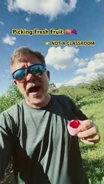 Picking fresh fruit straight from the tree 🍑🍇