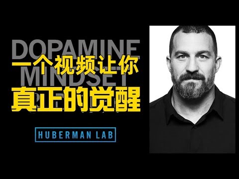 这将是你今年看过 最有价值的一个视频｜HubermanLab学习系列1