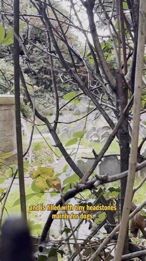 Did you know there’s a Victorian pet cemetery in Hyde Park? 🪦 | Time Out London