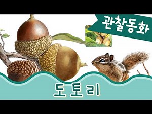 재미있는 생생 탐구동화 | 도토리