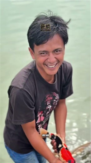 Semua orang bisa beli koi. Tapi nggak semua orang bisa memilih dengan standar tinggi!