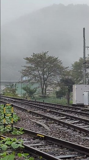 JR高山本線 特急ひだ | Limited Express Hida