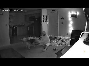 Ozzie playing fetch ghost voice at end