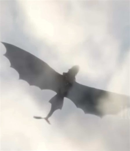 Heartwarming Hiccup and Toothless Moments