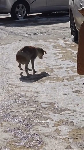 Funny sick on Instagram