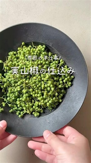 I prepared some sansho peppercorns 🌱 #sansho #preparation #recipe #shorts