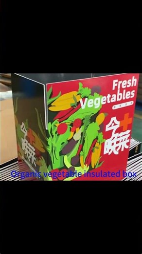 customized 48 hours insulated shipping box for shipping frozen meat (Direct Manufacturer )
