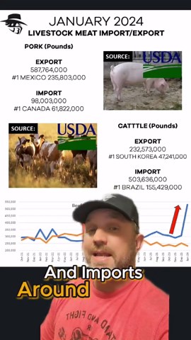 Beef Import Trends in the U.S.