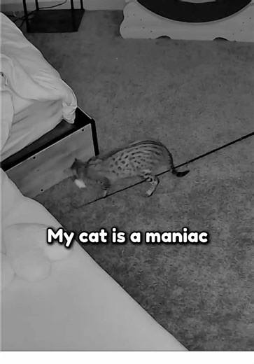 She does anything to get my attention | girls wanting boy attention