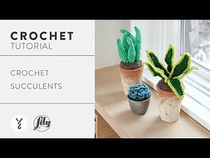 Crochet Succulents | Free Pattern & Beginner-Friendly Tutorial
