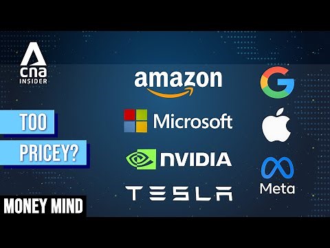 Which Magnificent 7 Tech Stocks Are Worth Buying? | Money Mind | Tech Stocks