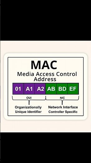 What is a MAC Address? | MAC Address Structure Explained