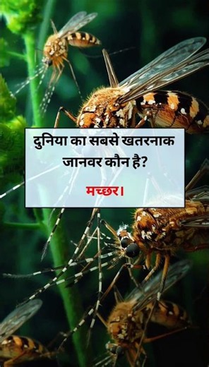 😱 The 8 Most Dangerous Things in the World! 99% of People Don't Know These GK Questions #GKQuesti...