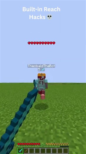 Built in Reach Hacks 💀