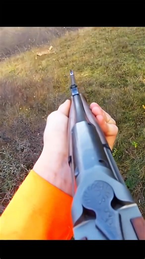 Taking deer down with two shots #hunting #deer#moose#chasse