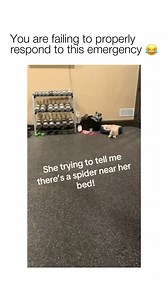 Viral Posts on Reels