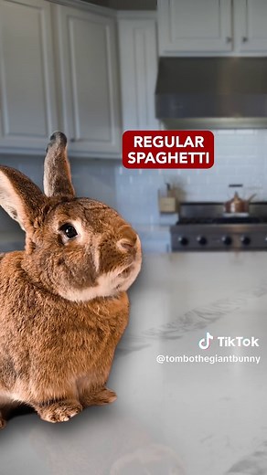 Rabbits in the Kitchen: Hilarious Bunny Jokes