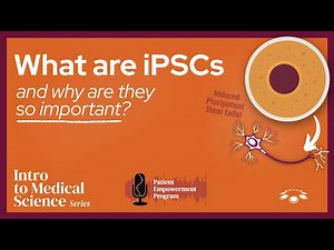 What Are iPSCs—and Why Do They Matter?