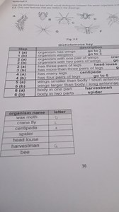 Use the dichotomous key provided to distinguish between the sev... | Filo