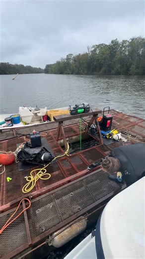 A very old giant sinker cypress we recovered from today. Its at least 36” on the small end. | Congaree Champions