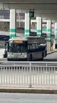 Bee-Line Bus: New Flyer XDE40 (#499) Route #5 to Yonkers