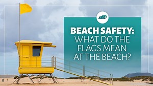 Beach Safety: What Do the Flags Mean at the Beach