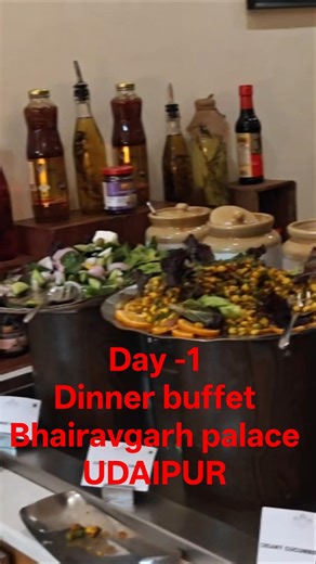 Day 1 Dinner Buffet at Bhairavgarh Palace, Udaipur 👑