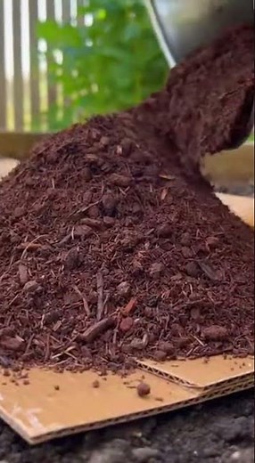 This Cardboard Trick Changed My Garden