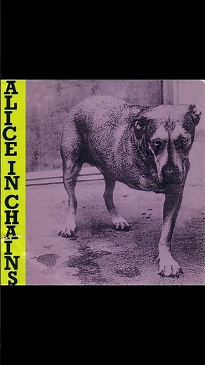 Alice In Chains - Tripod - 1995 - pt08 #compilation#1995#shorts#rock#grunge#aic#jerrycantrell#music