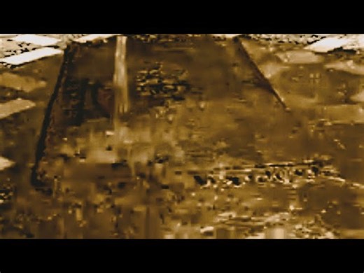 Satisfying Carpet Cleaning: Transforming Dirty and Muddy Rugs