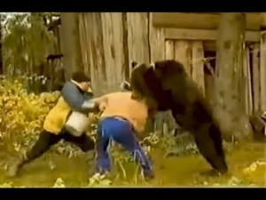 アメリカの熊(ヒグマ)による襲撃されの映像(動物愛誤)(農業損害)(經濟損害)(製造車禍.傷人.人身被害)(アニマルホーダー.動物囤積症.Animal Hoarding)(トキソカラ症)(狂犬病)