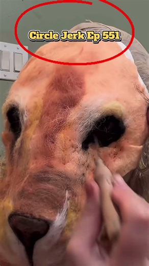 Making jerky comments and circling them. Ep.551 #circlejerk #football #tomcruise #missionimpossible