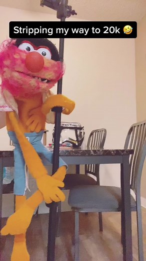 Colorful Puppet Performs Energetic Actions at Home