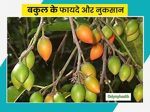 बकुल (मौलश्री) पेड़ के छाल, फल और फूल में होते हैं कई औषधीय गुण, आयुर्वेदाचार्य से जानें इसके फायदे-नुकसान
