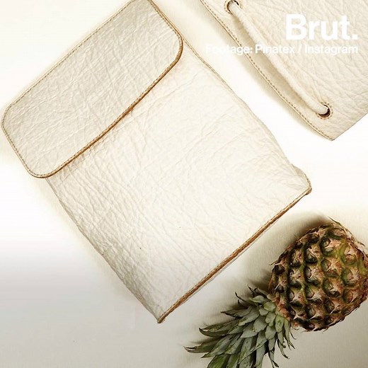 376K views · 2.5K reactions | Bags made of pineapple leaves or raisin residues, hemp shoes... Here's why some people give up leather.  | Brut nature | Facebook