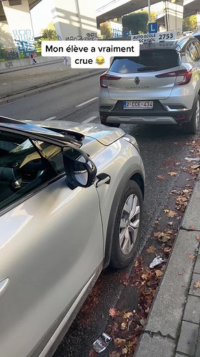 Urban Scene with Citroen and Learner Plate Car