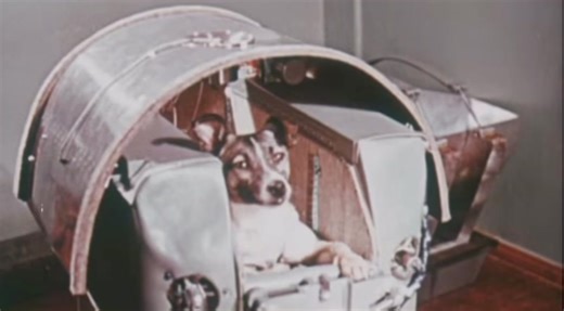 Laika Space Dog: A Sad Russian Story